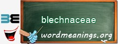 WordMeaning blackboard for blechnaceae